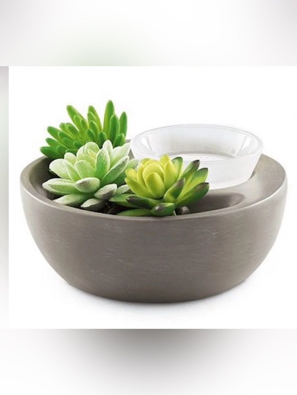 Scentsy " Little Garden " succulent Warmer.